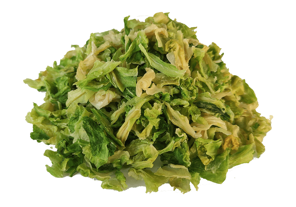 AD Cabbage 20x20mm
